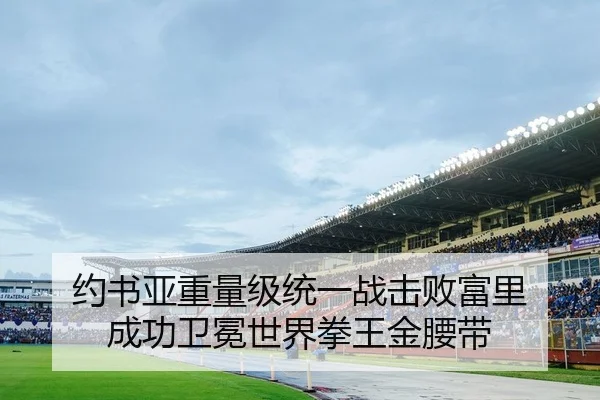 约书亚重量级统一战击败富里 成功卫冕世界拳王金腰带